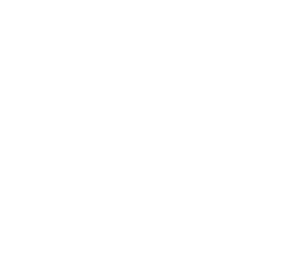 NEMA White
